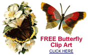 
free butterfly pictures